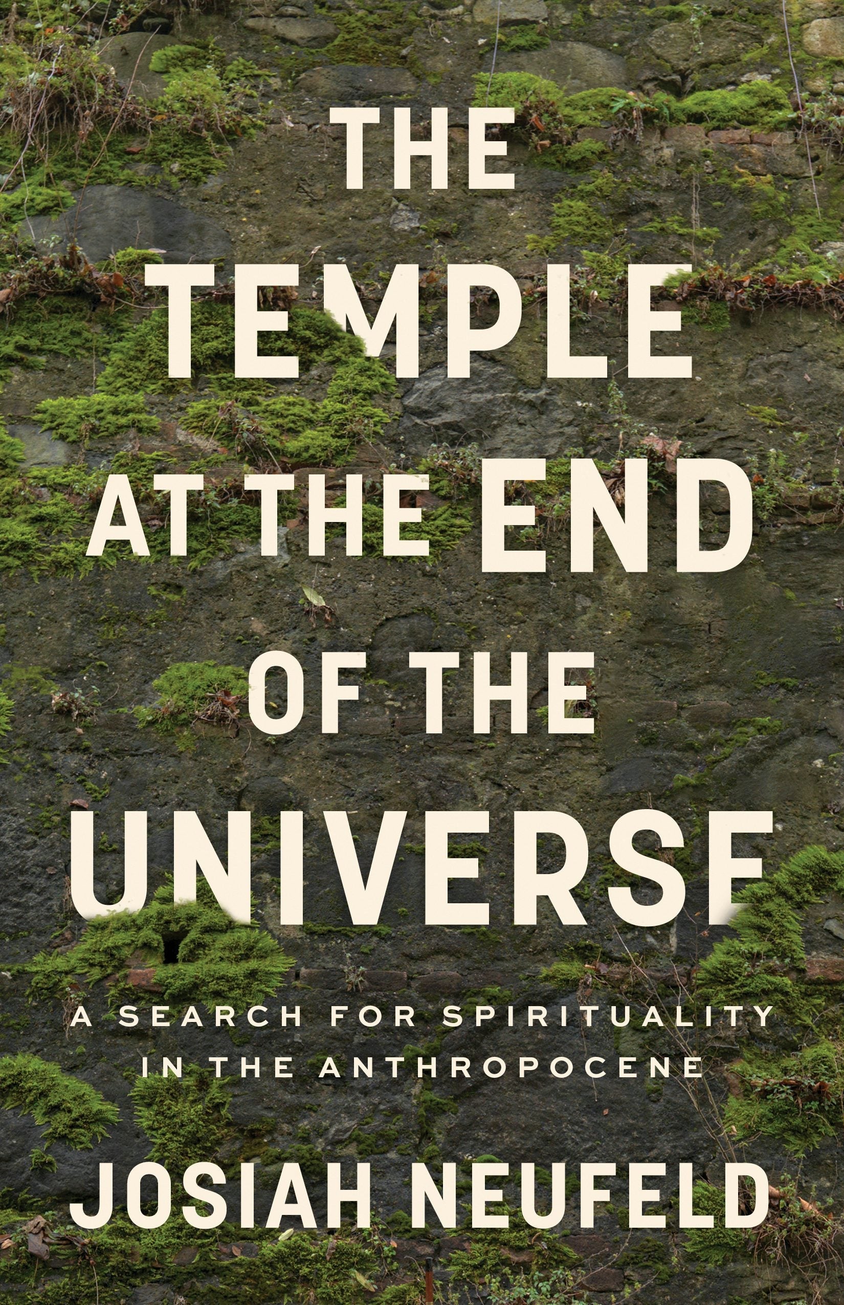 Book cover image for The Temple at the End of the Universe ISBN: 9781487010638